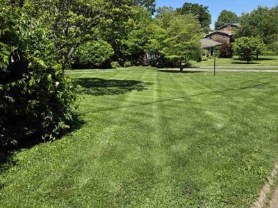 Lawn Care service in Powell, 37849