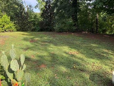 Lawn Care service in Anderson, 29624