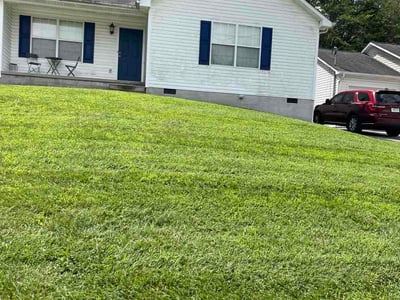 Lawn Care service in Powell, 37849