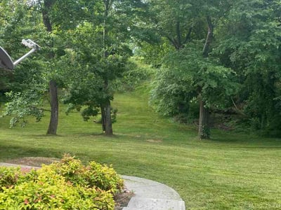 Lawn Care service in Powell, 37849
