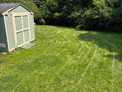 Lawn Care service in Ross Township, 15237