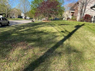 Lawn Care service in Powell, 37849