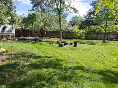 Lawn Care service in Ross Township, 15237