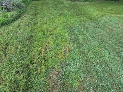 Lawn Care service in Ross Township, 15237