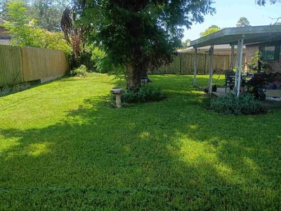 Lawn Care service in Bellaire, 77401