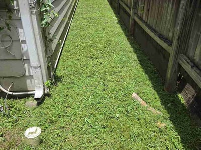 Lawn Care service in Galveston, 77550
