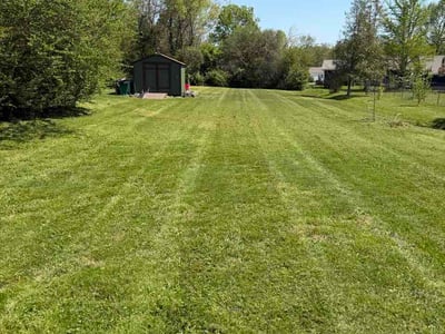 Lawn Care service in Loudon, 37774