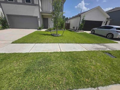 Lawn Care service in Fresno, 77545