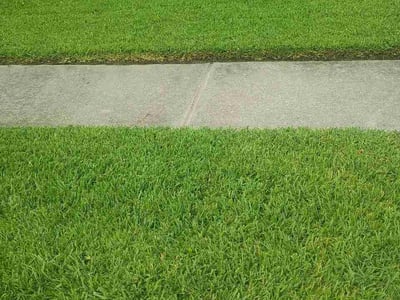 Lawn Care service in Baytown, 77520