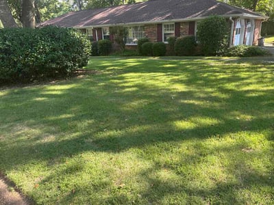 Lawn Care service in Columbia, 29201