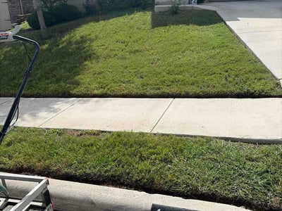 Lawn Care service in Live Oak, 78233