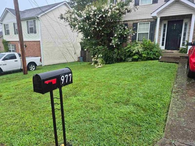 Lawn Care service in La Vergne, 37086