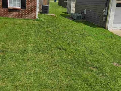 Lawn Care service in La Vergne, 37086
