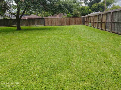 Lawn Care service in Winnie, 77665