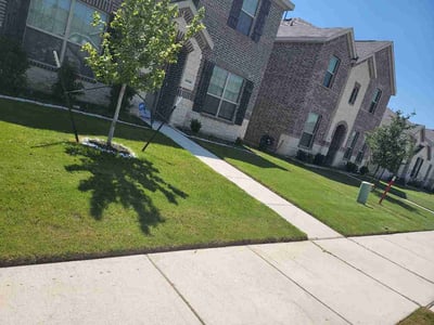 Lawn Care service in Fort Worth, 76102