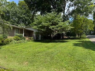 Lawn Care service in La Follette, 37766