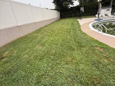 Lawn Care service in Swansea, 02777