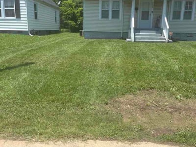 Lawn Care service in La Follette, 37766