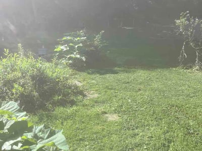 Lawn Care service in La Follette, 37766