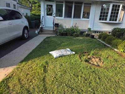 Lawn Care service in ,