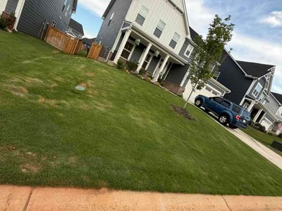 Lawn Care service in Greenville, 29601