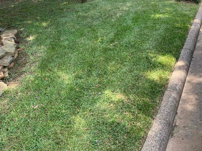 Lawn Care service in Montgomery, 77316