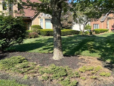Lawn Care service in Pickerington, 43147