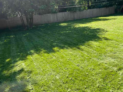 Lawn Care service in Beaver Falls, 15010