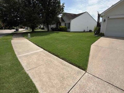 Lawn Care service in Raleigh, 27601