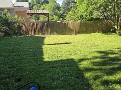 Lawn Care service in Clarks Summit, 18411