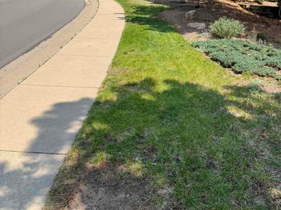 Lawn Care service in Woodland Park, 80863
