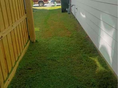 Lawn Care service in Fountain Inn, 29644