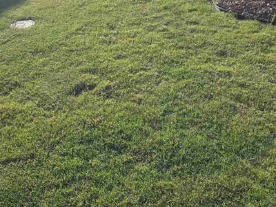 Lawn Care service in Pickens, 29671