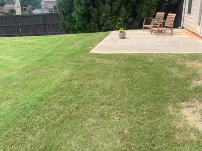 Lawn Care service in Pickens, 29671