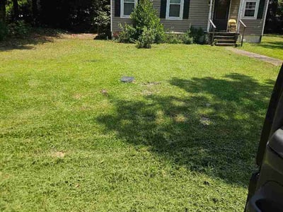 Lawn Care service in Winnsboro, 29180