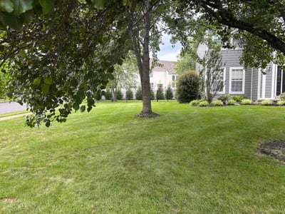 Lawn Care service in Doylestown, 18901