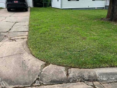 Lawn Care service in East Providence, 02914