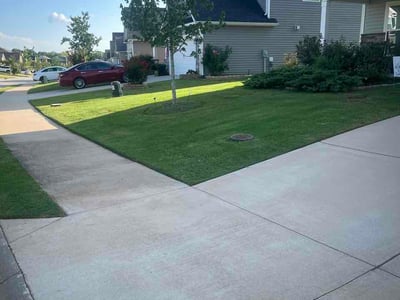 Lawn Care service in Laurens, 29360