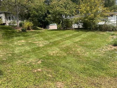 Lawn Care service in Gibsonia, 15044