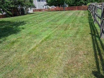 Lawn Care service in West Chester, 45069