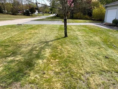 Lawn Care service in North Providence, 02911