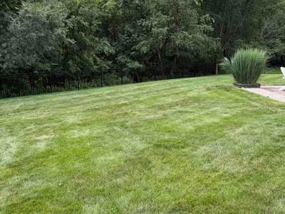 Lawn Care service in Glenshaw, 15116