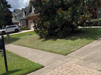 Lawn Care service in Cayce, 29033