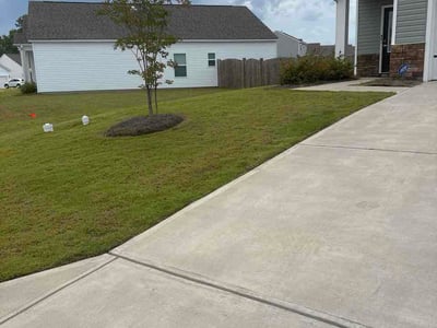 Lawn Care service in Cayce, 29033