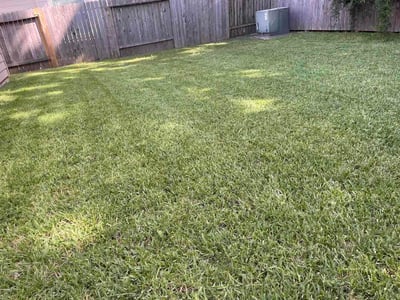 Lawn Care service in Lake Jackson, 77566