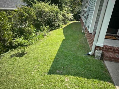 Lawn Care service in Lugoff, 29078