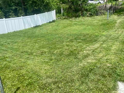 Lawn Care service in Allison Park, 15101