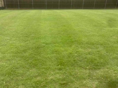 Lawn Care service in Azle, 76020