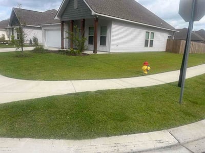 Lawn Care service in Walker, 70785