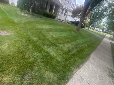 Lawn Care service in Hilliard, 43026